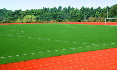 河北经贸大学-足球场人造草坪铺设