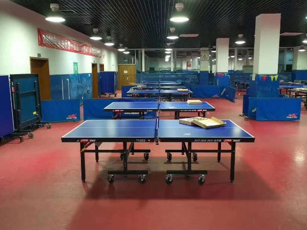 北京市西城体校乒乓球台